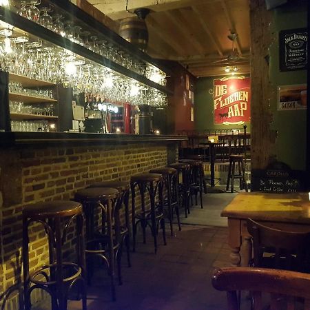 Al In Den Aap Gelogeerd? Appartamento Arrondissement di Malines Esterno foto