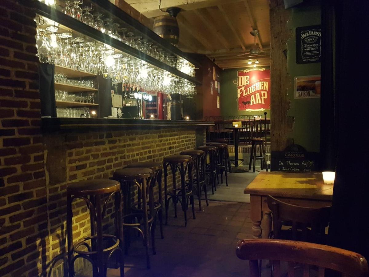 Al In Den Aap Gelogeerd? Appartamento Arrondissement di Malines Esterno foto